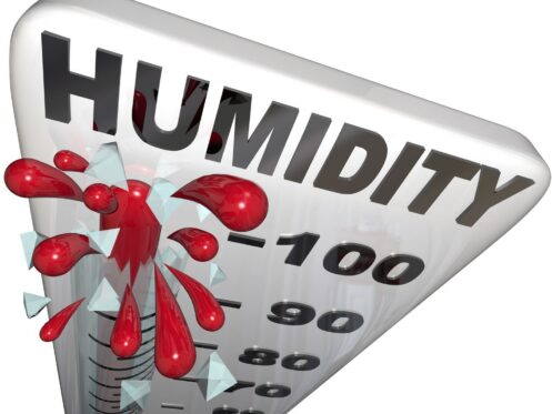 The humidity level rising in Tampa Bay