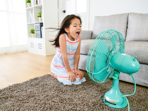AC maintenance services in Tampa, FL